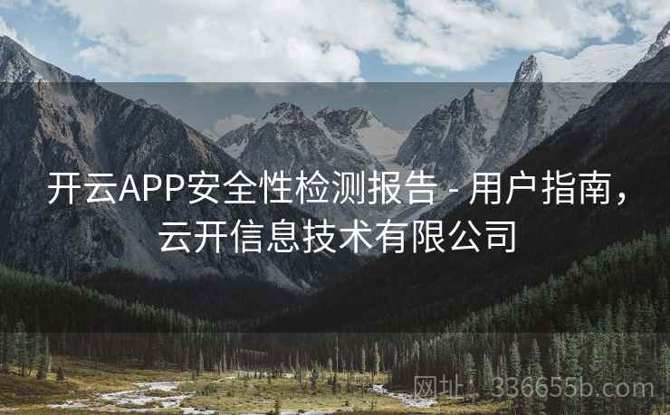 开云APP安全性检测报告 - 用户指南，云开信息技术有限公司